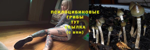 PSILOCYBIN Алзамай