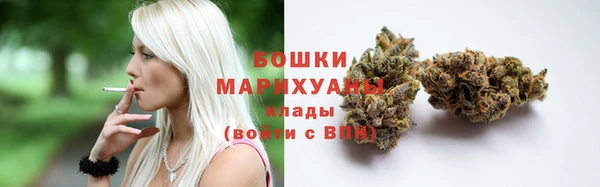 PSILOCYBIN Алзамай